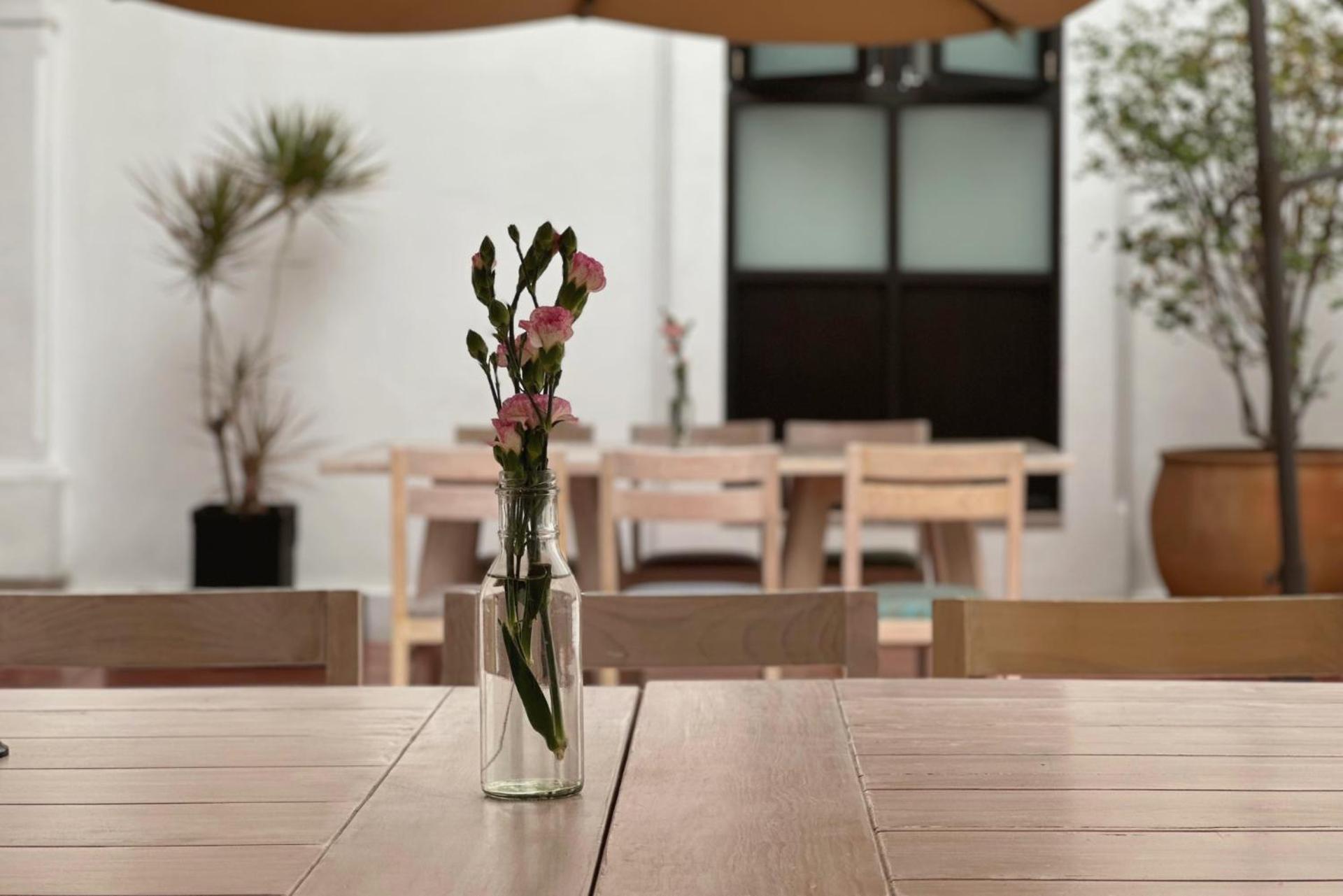 Oaxaca Hotel La Casa De Maria מראה חיצוני תמונה